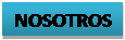 Cuadro de texto: NOSOTROS