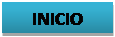 Cuadro de texto: INICIO